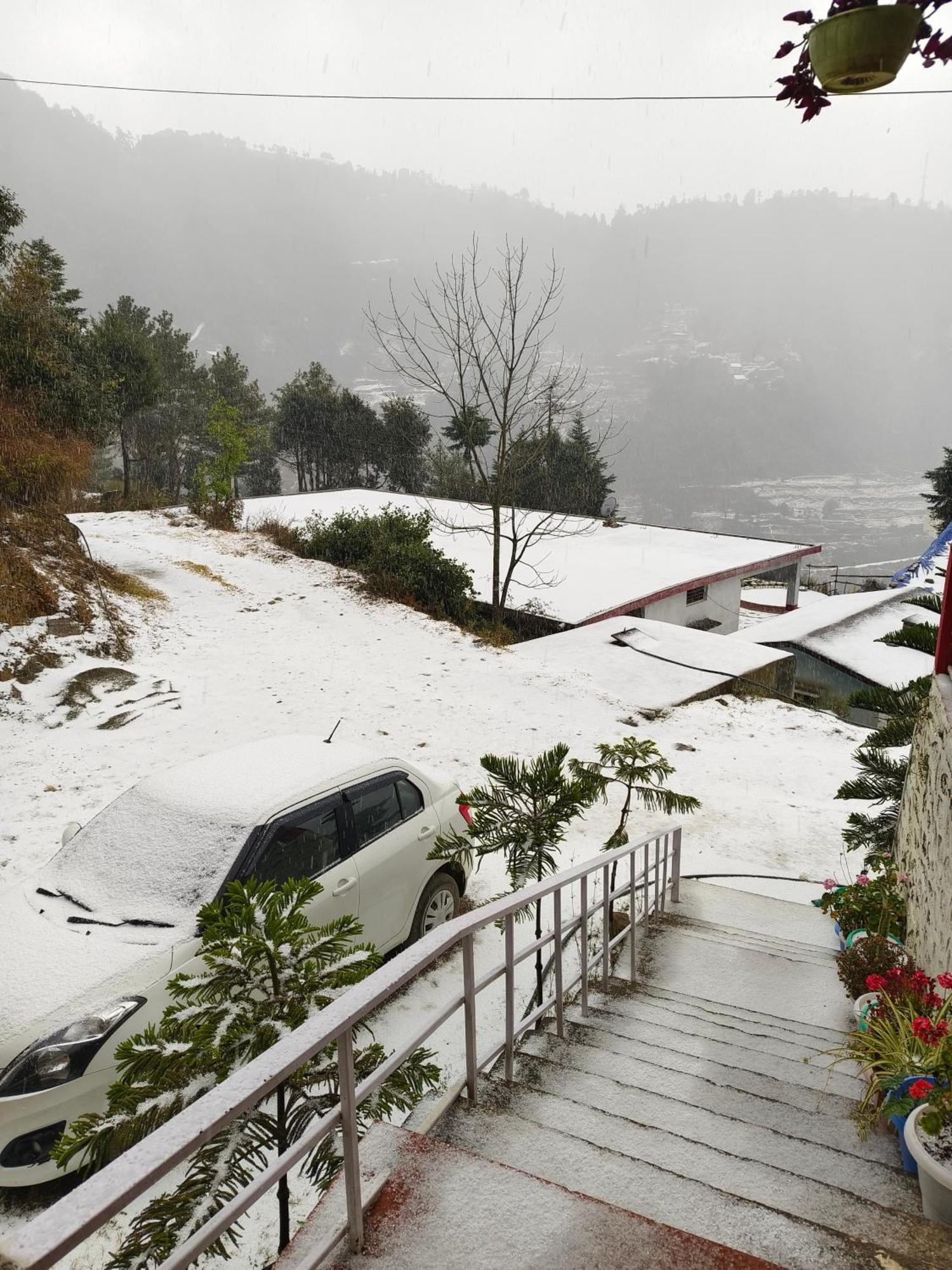 Naina Bird Cottage Nainital Kültér fotó