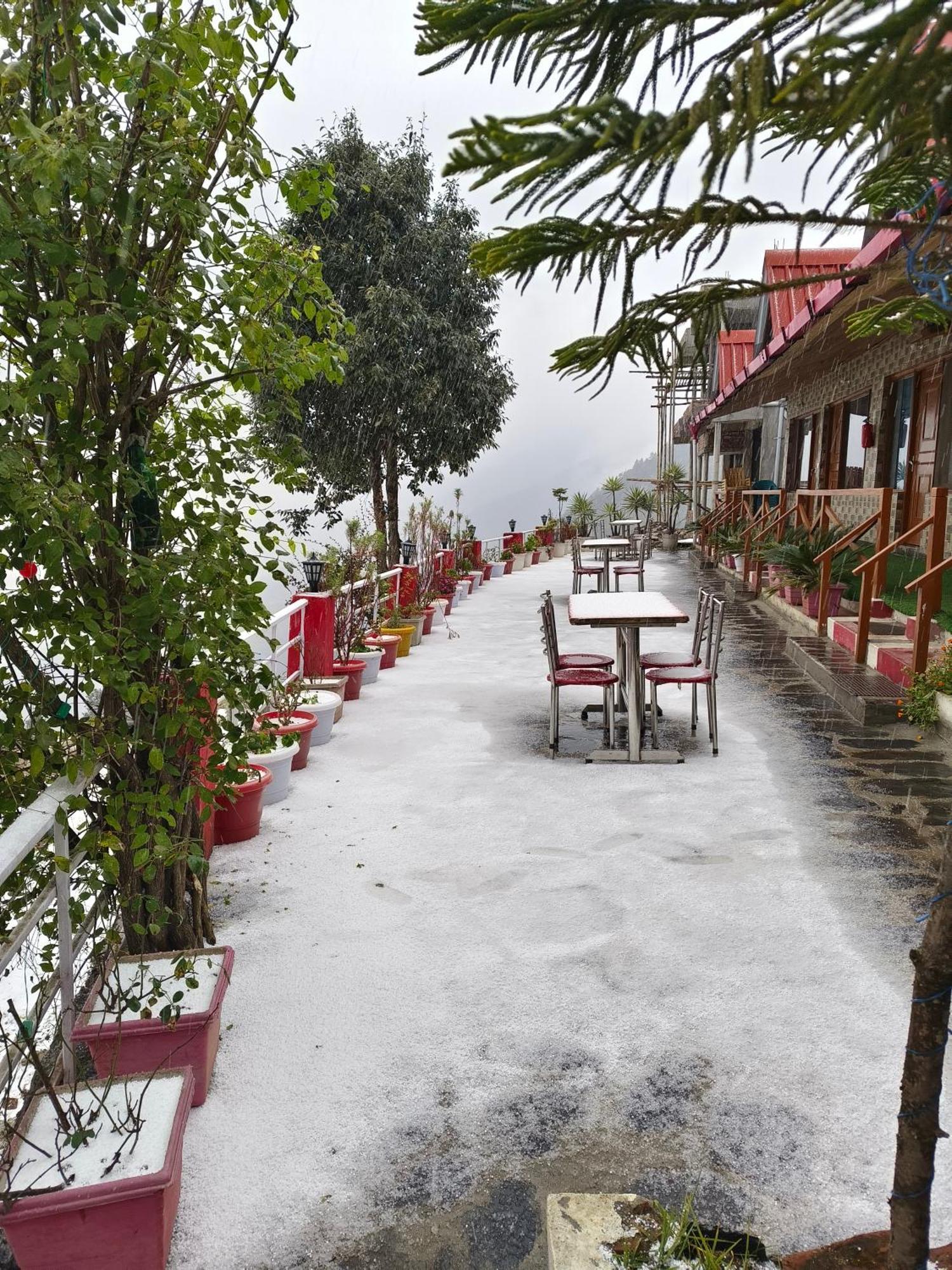 Naina Bird Cottage Nainital Kültér fotó